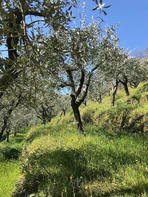 Holiday home Casa Kerni In Der Toskana Chianni